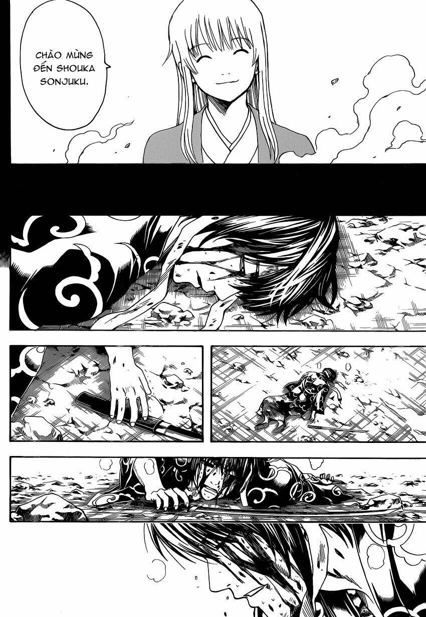 gintama - linh hồn bạc chapter 518 16