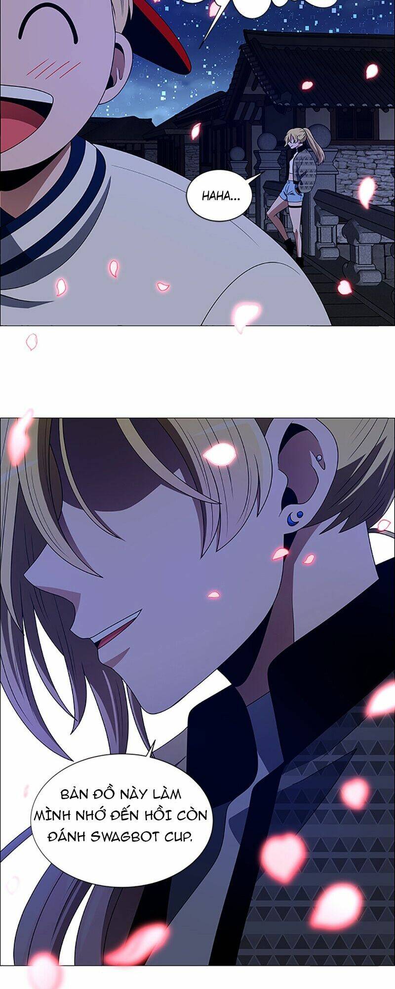 no scope chapter 96 26