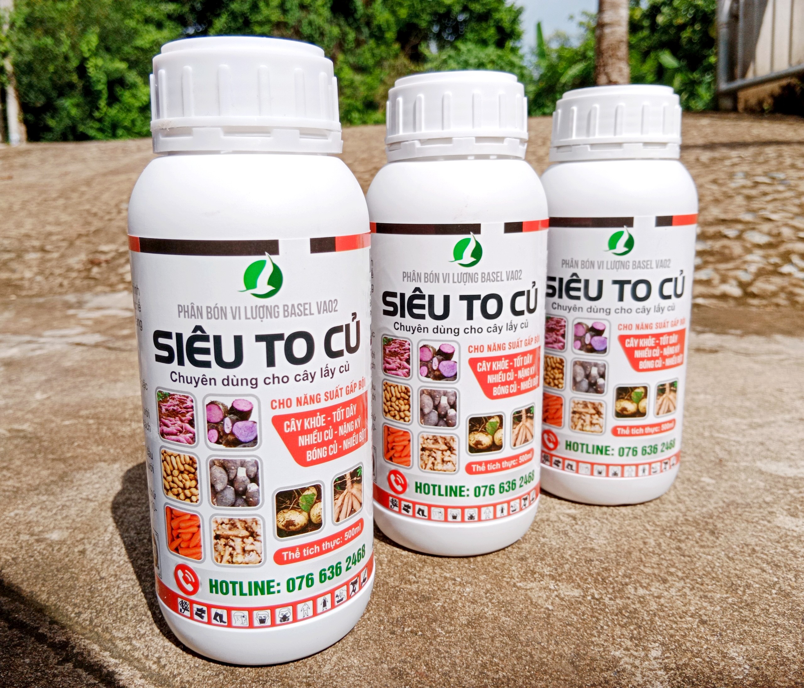 PHÂN BÓN GIÚP CỦ VÀO BỘT NHANH, TO CỦ, NẶNG KÍ, ĐỀU CỦ - DÙNG CHO KHOAI LANG, KHOAI MÌ, KHOAI MÔN. CÀ RỐT, CỦ CẢI, SẴN, ĐẬU PHỘNG,...