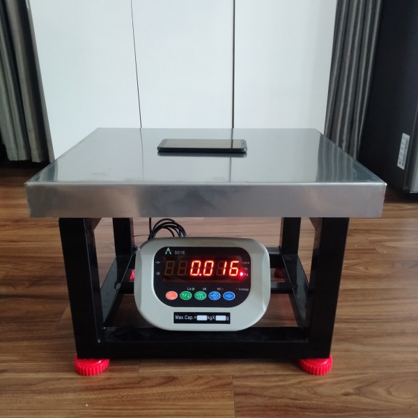 Cân Ghế Điện Tử Đầu 501E