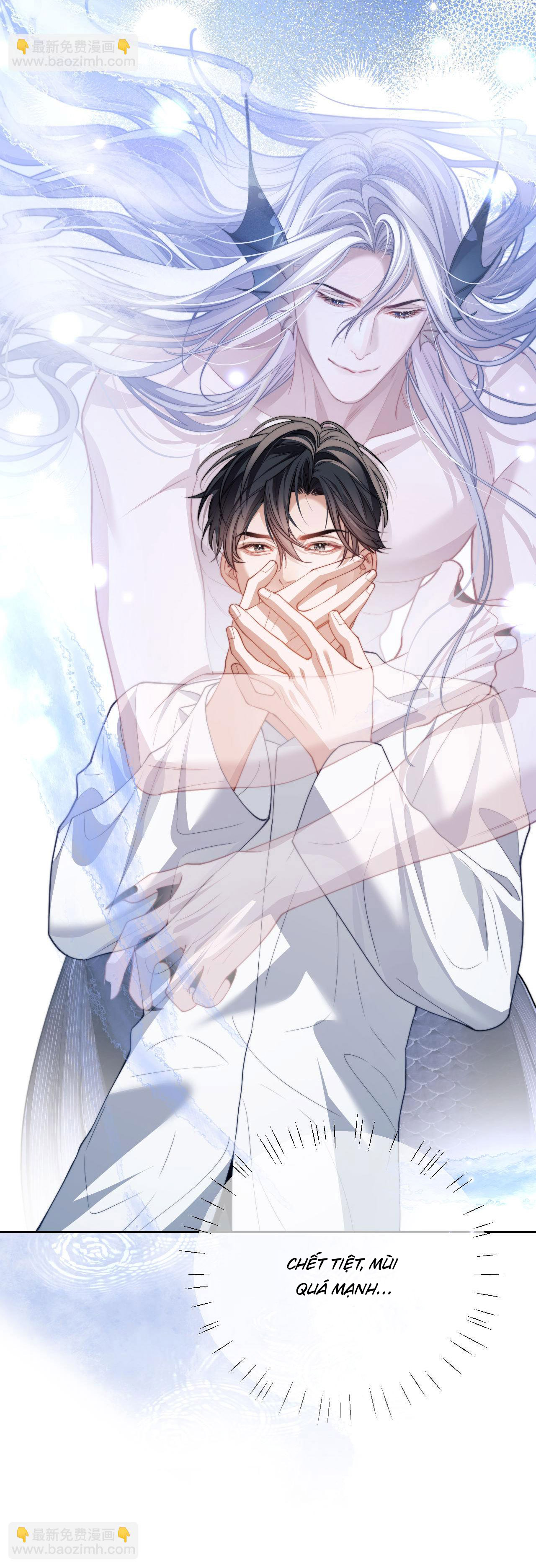 nhân ngư dessaro chapter 20 42