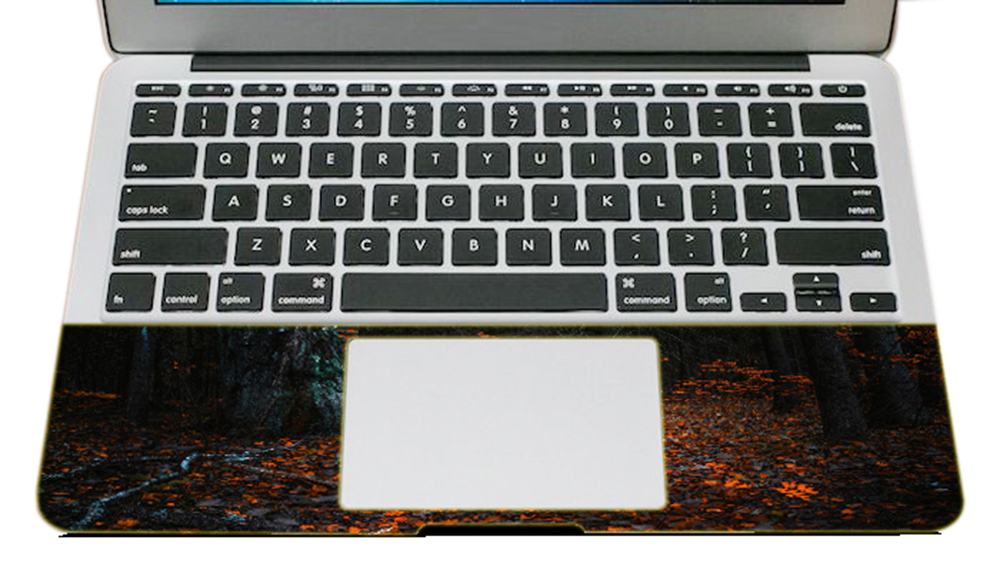 Mẫu Dán Laptop Thiên Nhiên LTTN - 81