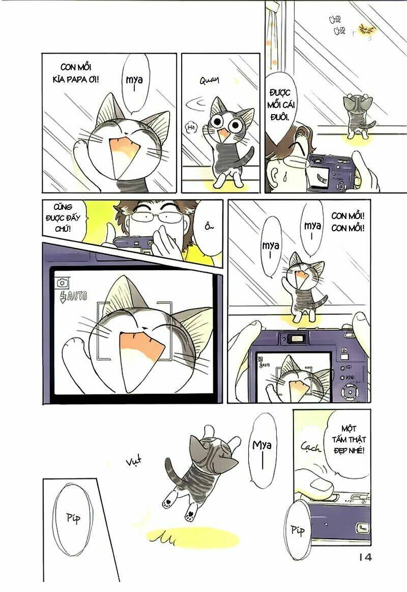 chi's sweet home chapter 40 5