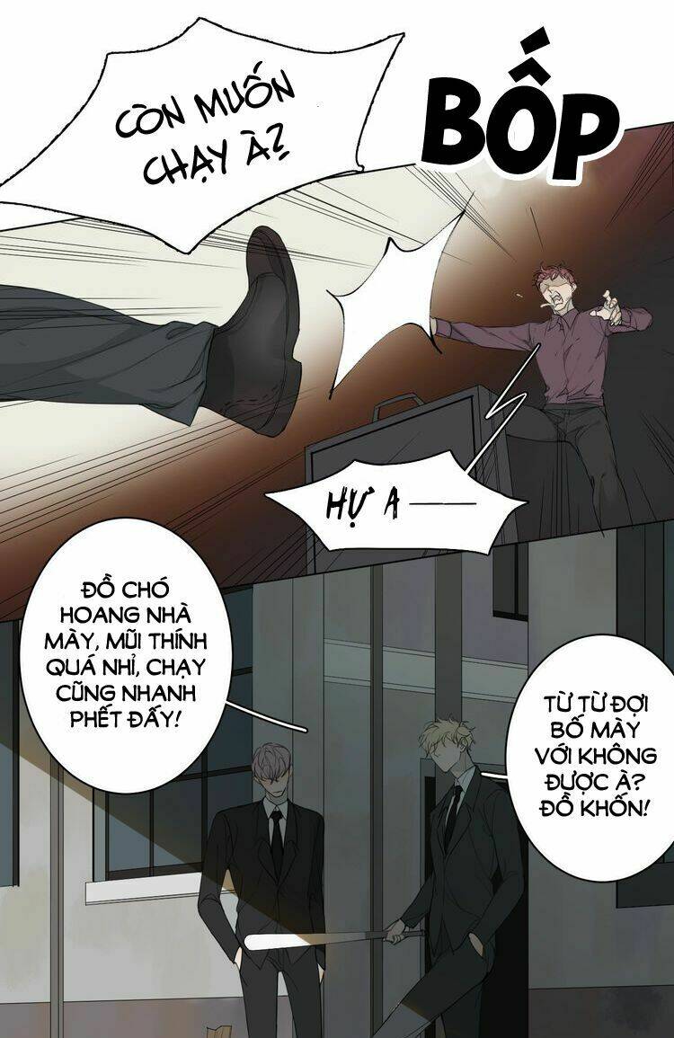 xúc bất khả cập chapter 1 3