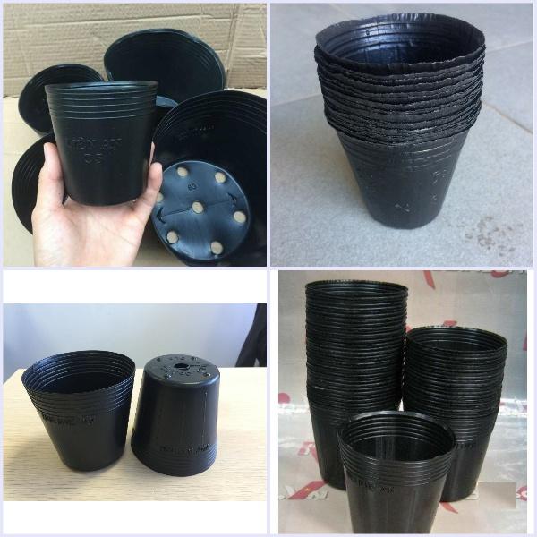Chậu To Ươm Cây Màu Đen -