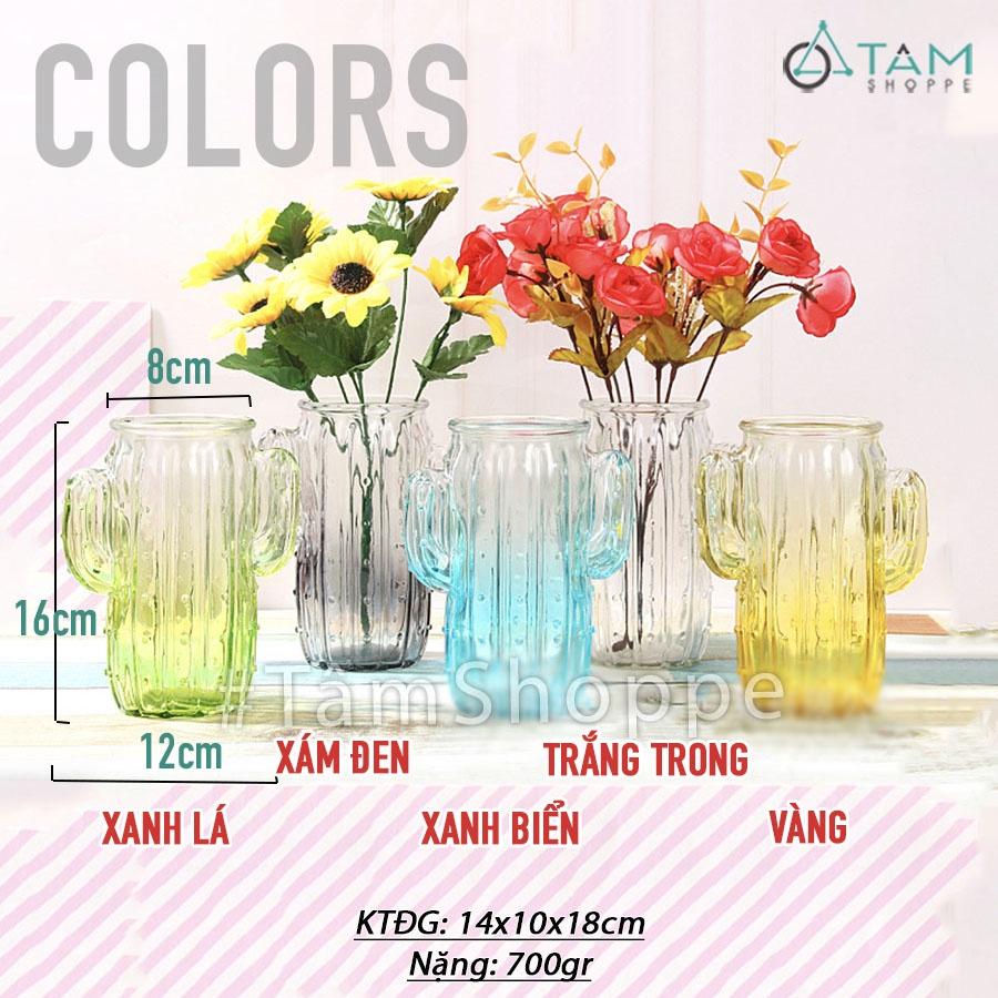 Lọ hoa thủy tinh trong suốt xương rồng nhiều màu LHTT-60