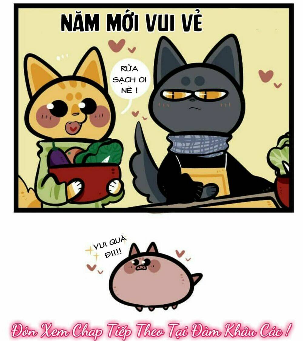 đời không như mình tưởng chapter 15 10