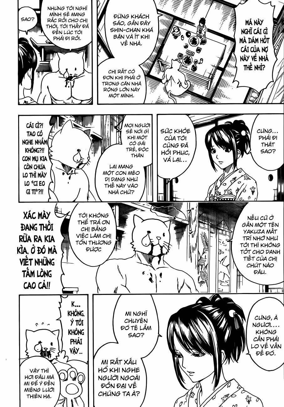 gintama - linh hồn bạc chapter 474 8