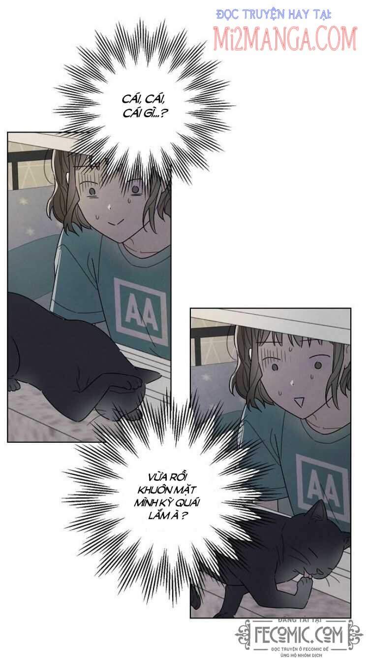 tôi đã cướp mất đêm đầu tiên của nam chính chapter 74.5 21