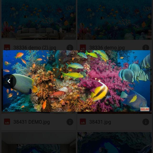 Tranh 3D dán bể cá cảnh