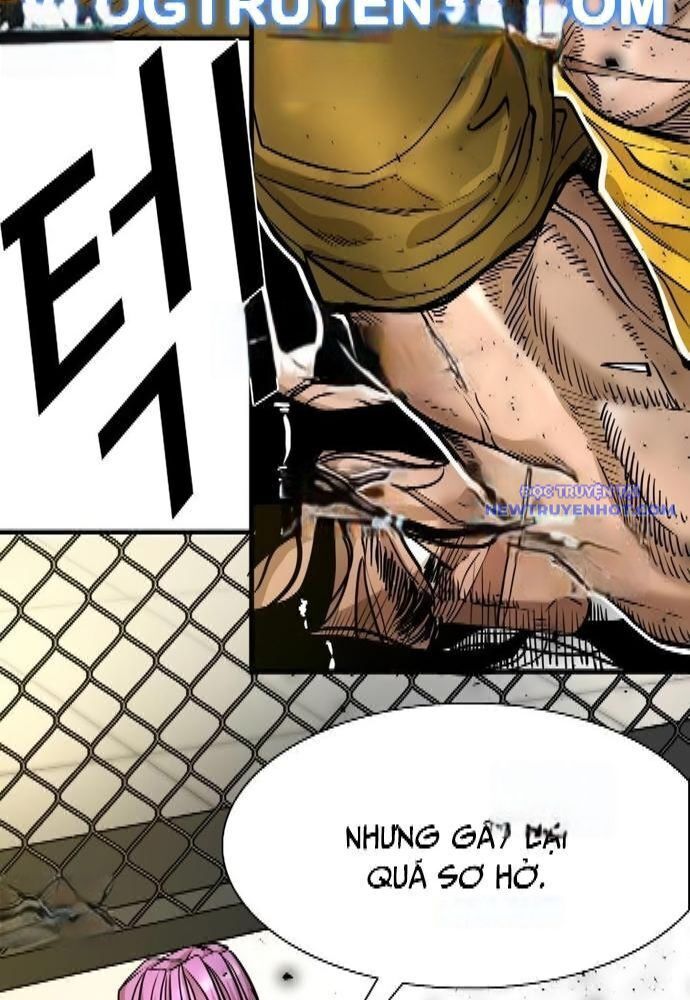 shark - cá mập chapter 323 52