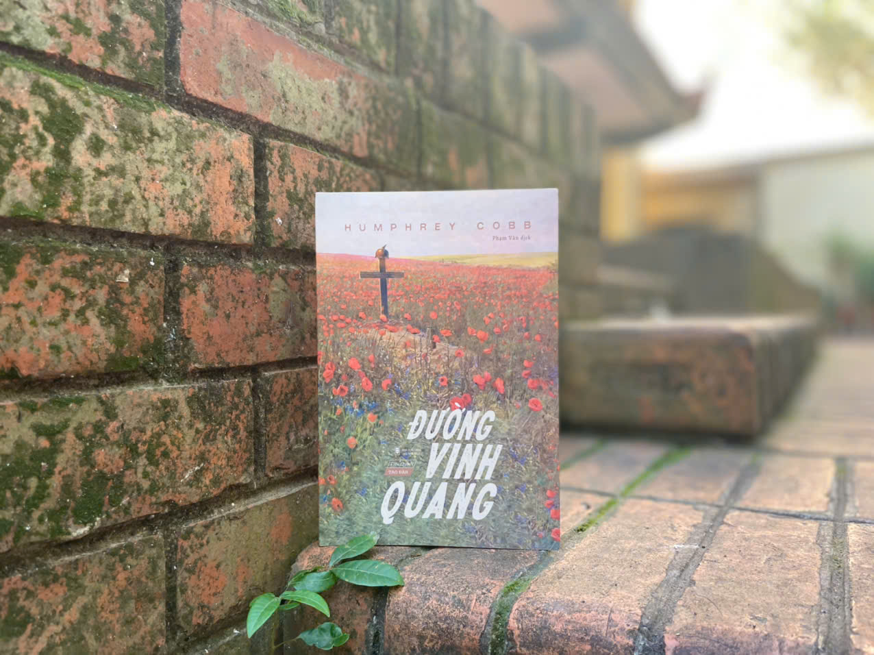 [Sách] Đường Vinh Quang - Humphrey Cobb - Sách Tao Đàn