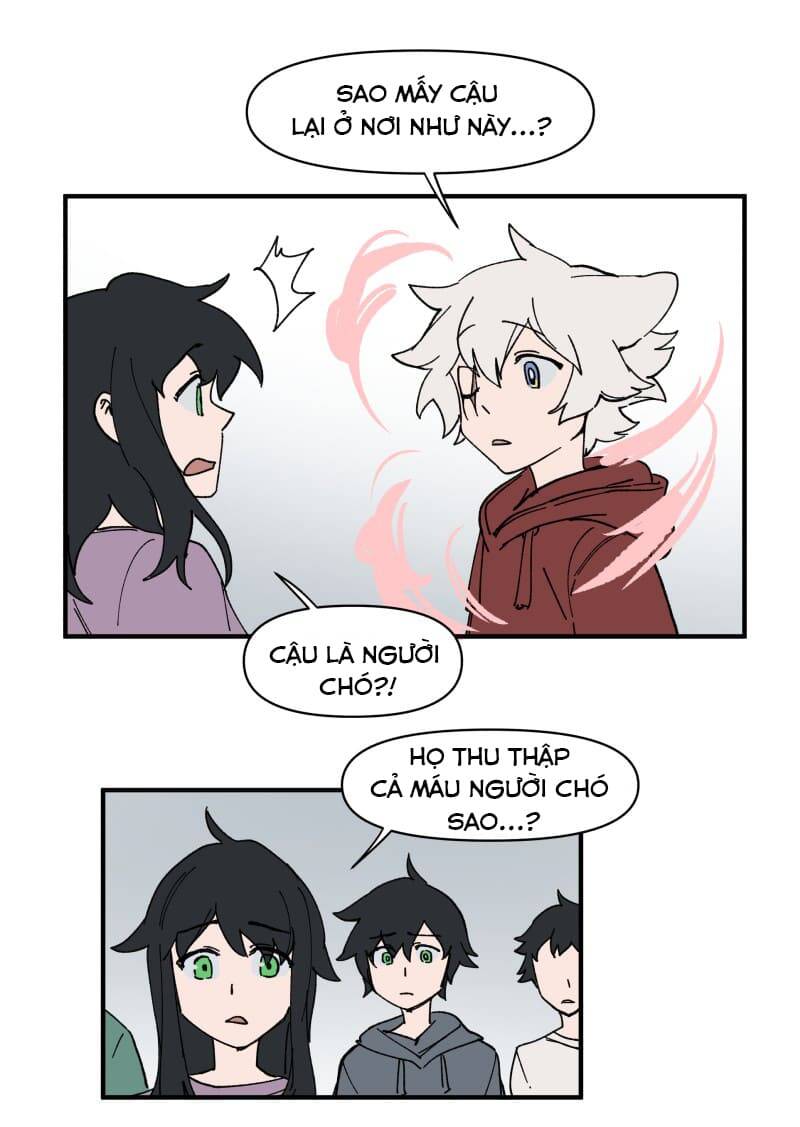 lumine - cội nguồn ánh sáng chapter 155 12