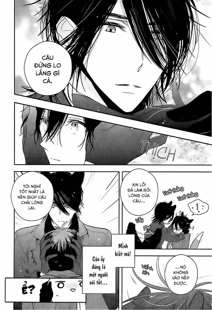 sói đen và cáo bạc chapter 2 18