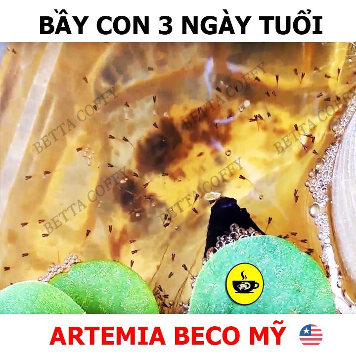 Bộ ấp Artemia Tặng 2 ống trữ Artemia BETTA COFFY ️