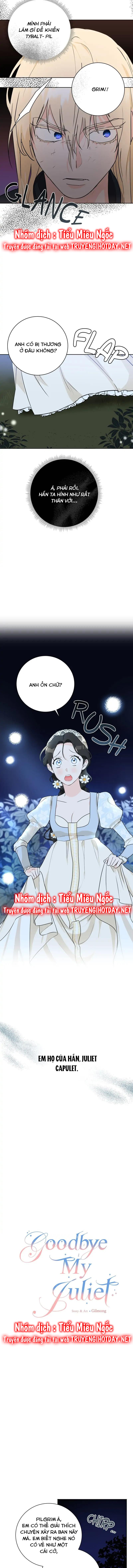 tạm biệt nàng, juliet chapter 14 2