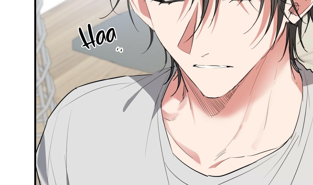 đàn thỏ của habibi chapter 39 59