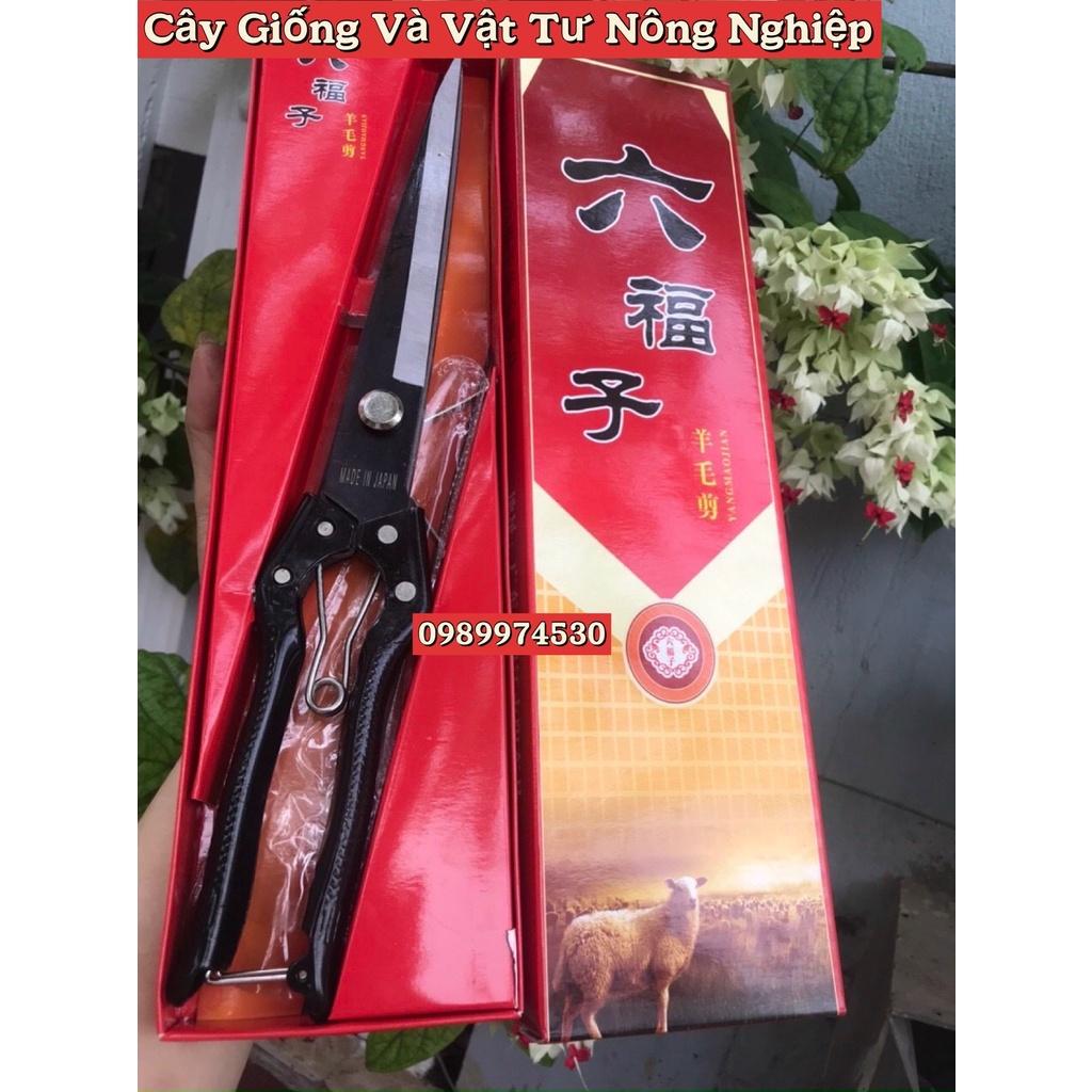 Kéo Tỉa Tán, Tỉa Dăm, Kéo Thép Nhật, Kích Thước 34cm - JP37