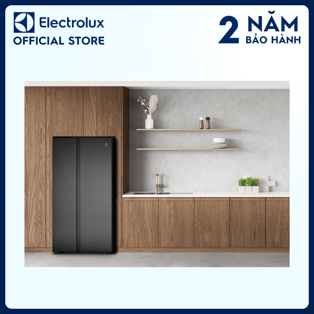 Tủ lạnh Electrolux Inverter Side by side 624 lít - ESE6600A-BVN - Thực phẩm tươi ngon lâu hơn, cấp đông nhanh chóng, khử mùi diệt khuẩn, tiết kiệm điện tối đa