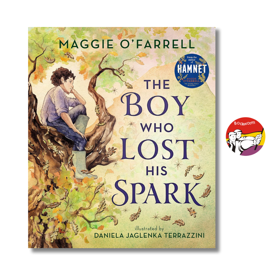 Sách - The Boy Who Lost His Spark by Maggie O'Farrell | English Book for Children / Ngoại văn