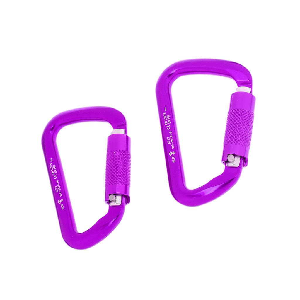 1 Pair 30KN D-Ring Twist Auto Locking Rock Climbing Carabiner Rescue