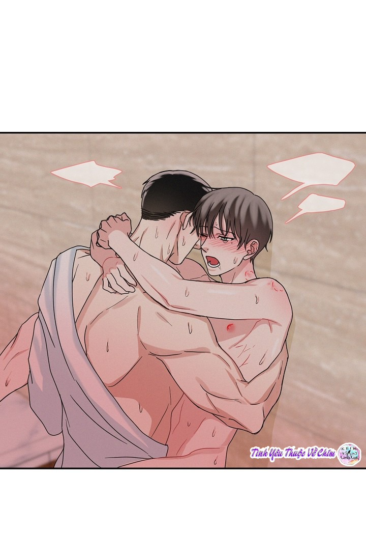 đối tác an toàn chapter 7 9