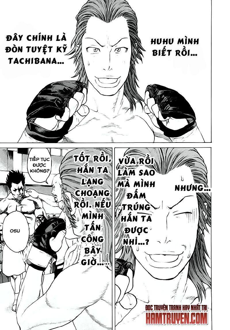 karate shoukoushi kohinata minoru chapter 195 11