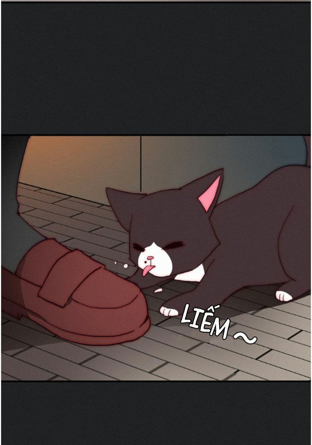 bí mật bóng đêm chapter 2 50
