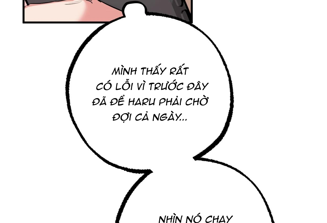 đàn thỏ của habibi chapter 28 137