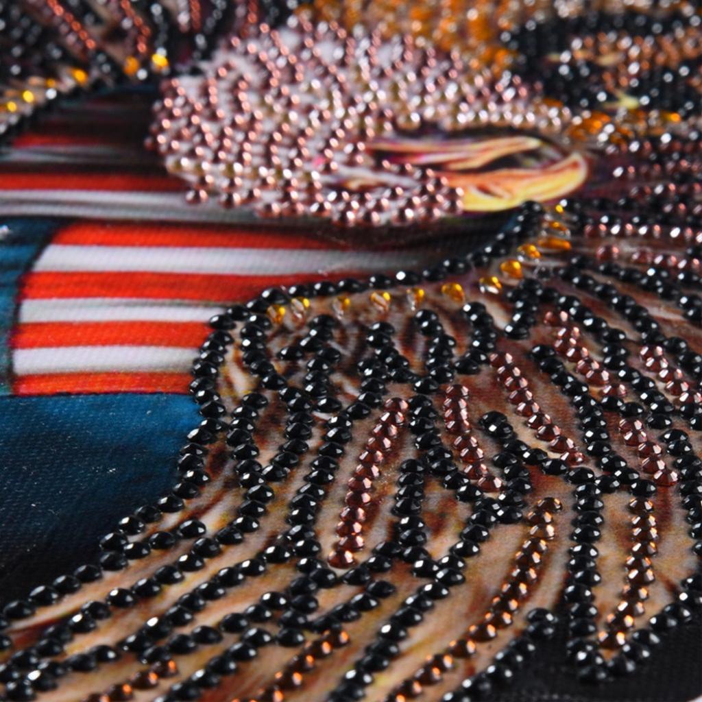 DIY 5D Eagle Diamond Painting Embroidery Special Shaped Home Decor 30x30cm