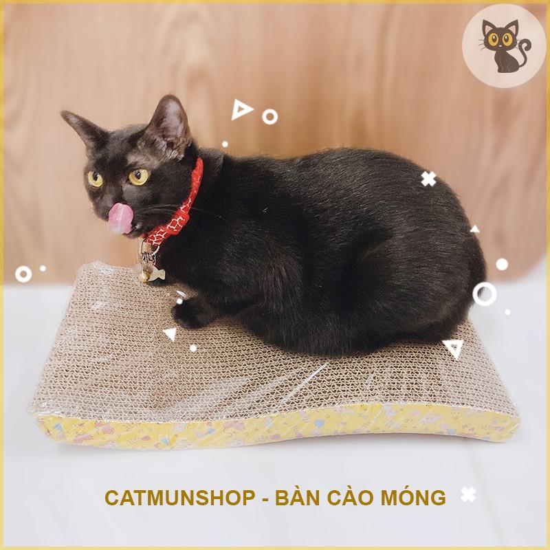 Bàn cào móng cho mèo