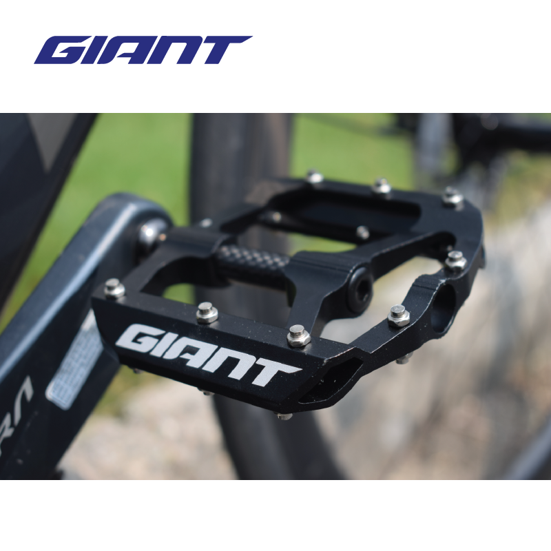 BÀN ĐẠP GIANT – HILL CARBON