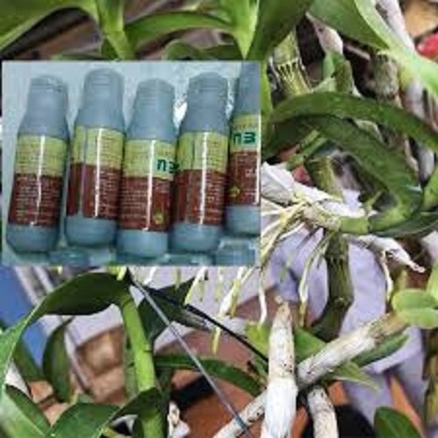 Dung Dịch N3M Kích thích ra rể cực mạnh-1 lọ
