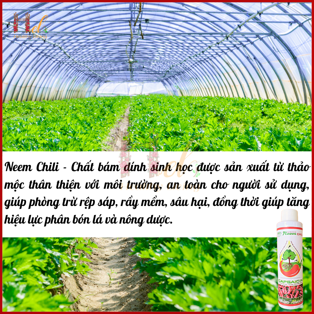 Neem Chili Chất Bám Dính Sinh Học 150ml - Điền Trang Trừ Sâu Rầy Bọ Trĩ