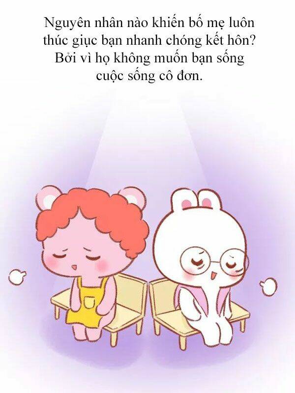 giải mã tình yêu chapter 256 12