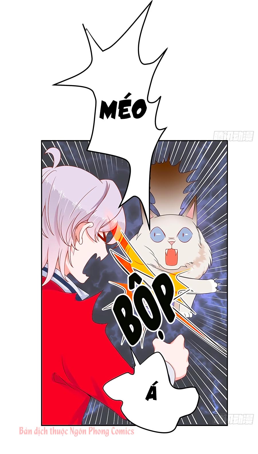 hotboy quốc dân là nữ chapter 51 23