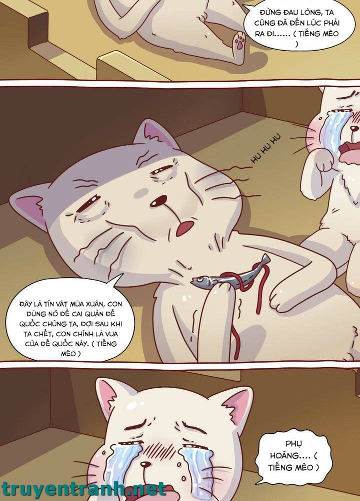 cây nấm kì khả chapter 8 4