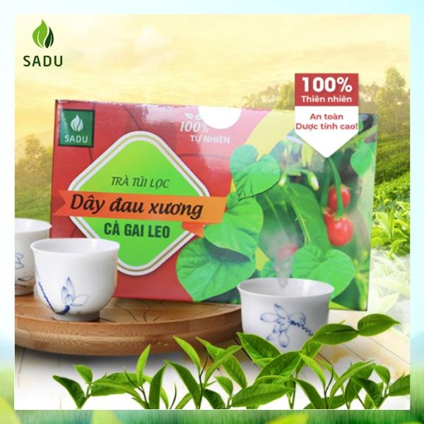 Trà túi lọc Dây Đau Xương Cà Gai Leo Sadu