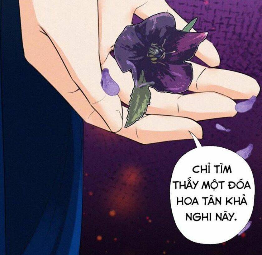 thiên hương mỹ nhân chapter 84 37