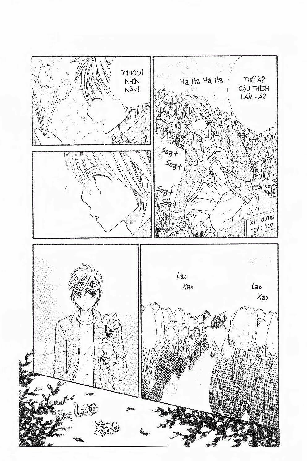 ichigo to anzu chapter 43 6