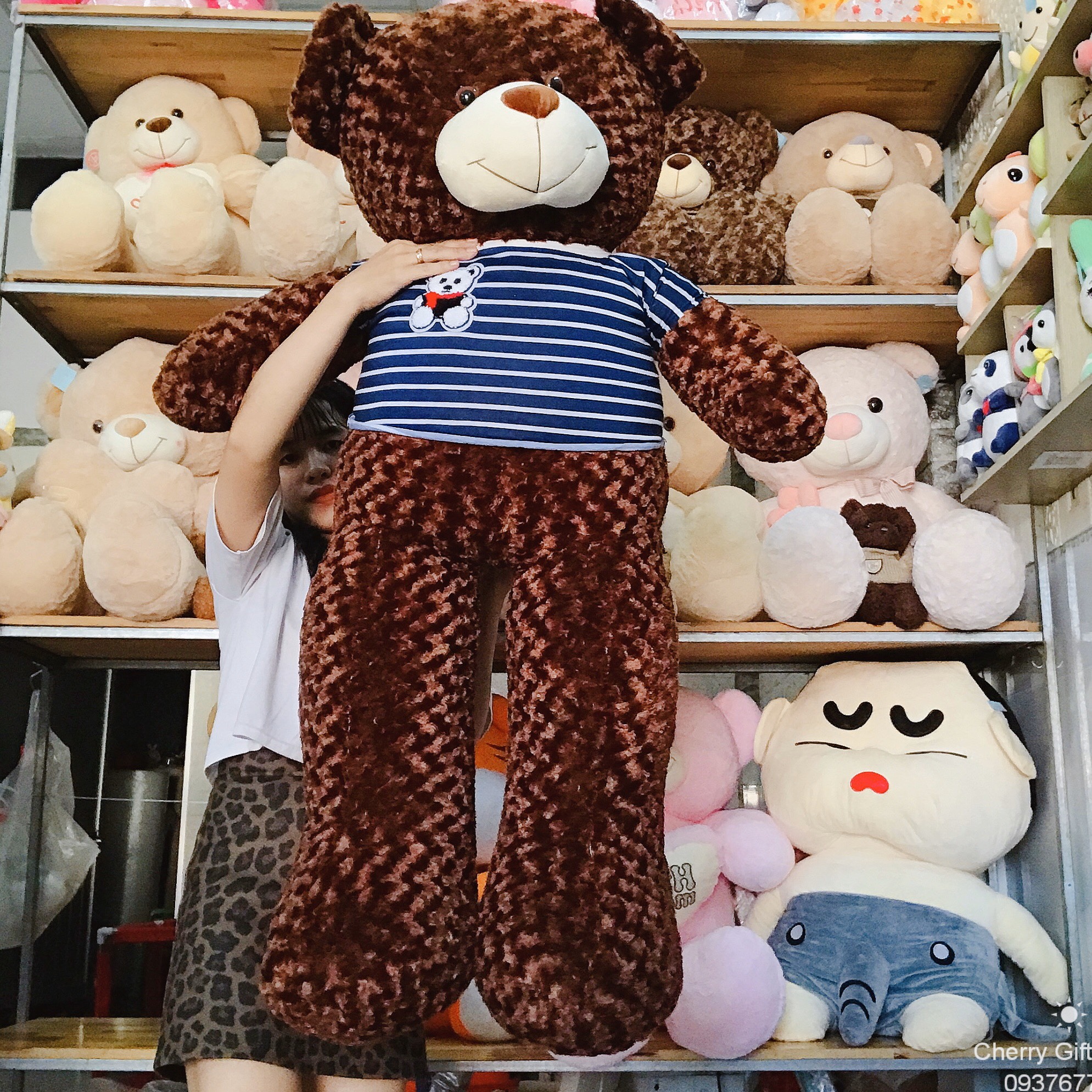 Gấu Bông Teddy Áo Thun Cao Cấp Giá Sốc 1m6 Ảnh Shop Chụp