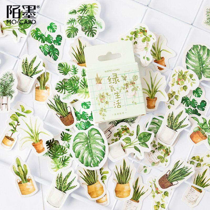 Hộp 46 sticker hình lá