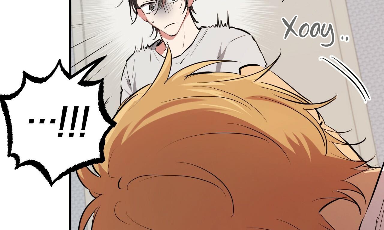 đàn thỏ của habibi chapter 39 92