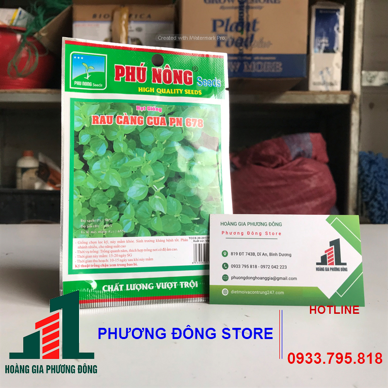 Combo 5-10 gói hạt giống rau Càng Cua nảy mầm cao