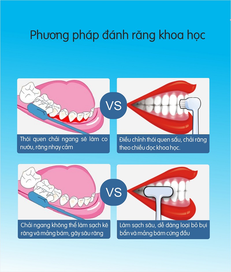 Combo 6 bàn chải đánh răng more-T lông siêu mềm