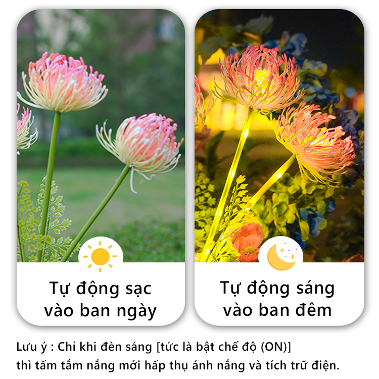 Đèn Trang Trí Năng Lượng Mặt Trời Hình Hoa Bỉ Ngạn, Sử Dụng Liên Tục 8-12 tiếng - DA3022