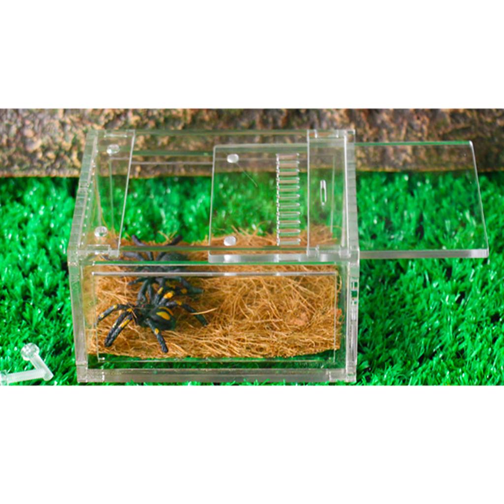 Acrylic Pet Reptiles Worm Breeding Box Clear Cases for Reptile