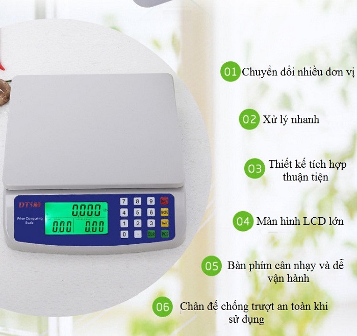 Cân điện tử tính tiền 30kg/1g DT-580 ( Cân bán hàng hoa quả, thực phẩm )