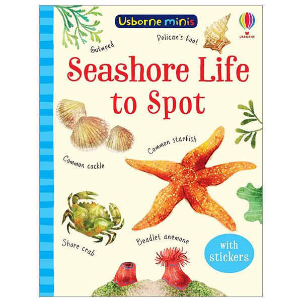 Seashore Life To Spot