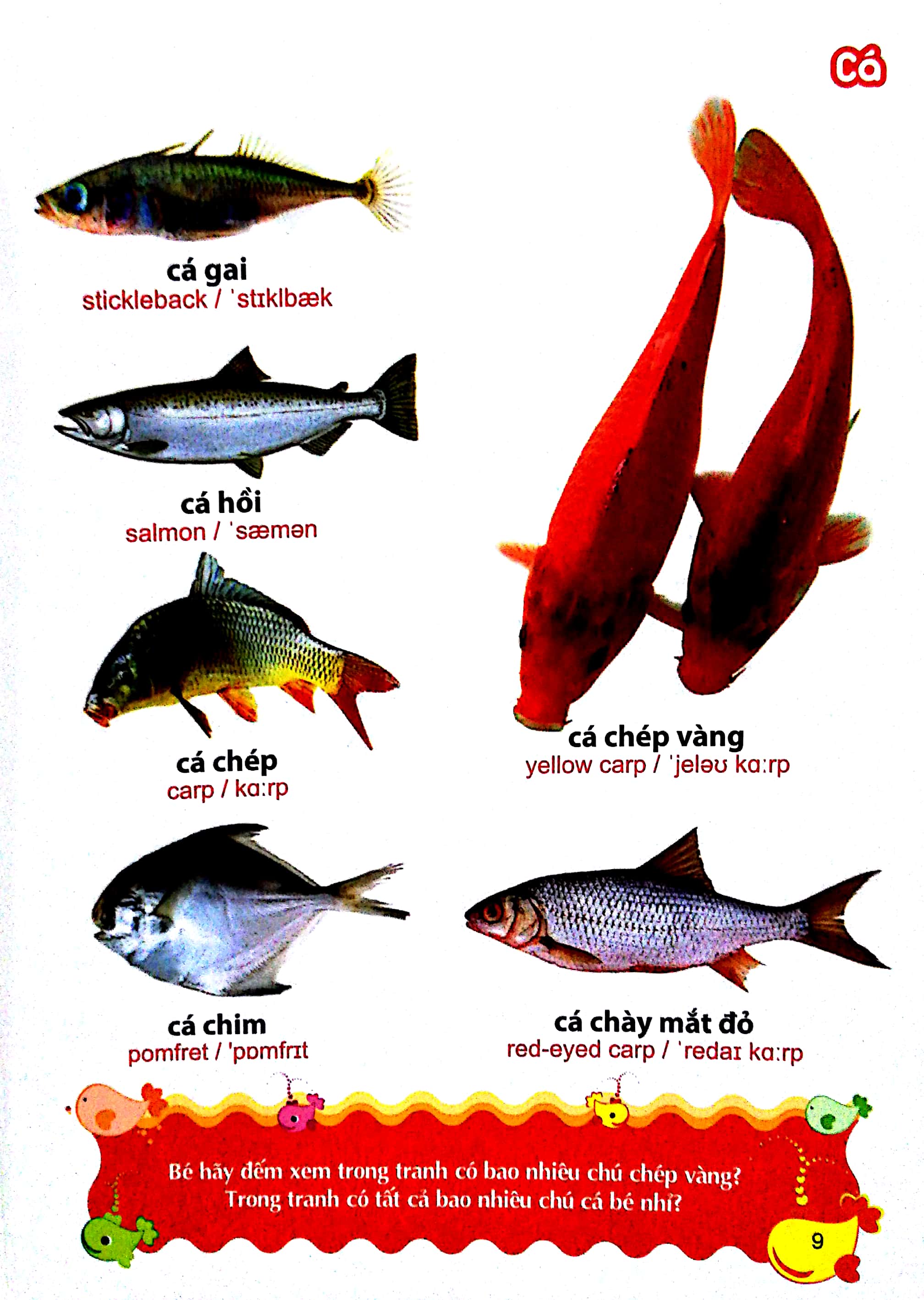 Từ điển tranh về các con vật